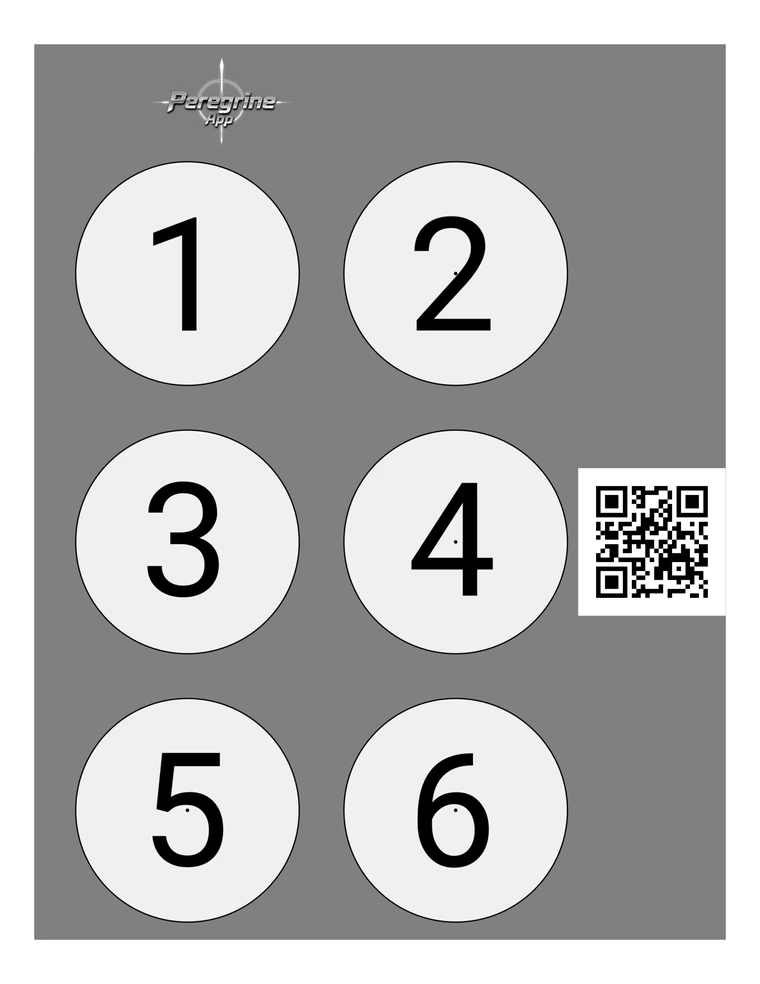Six numbered cut-out circle targets on one sheet